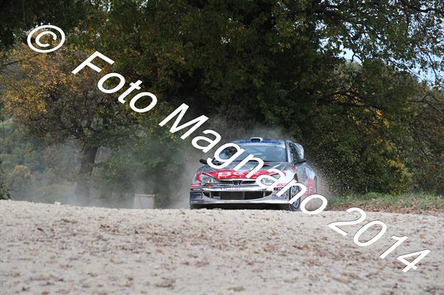 DSC_0266.JPG